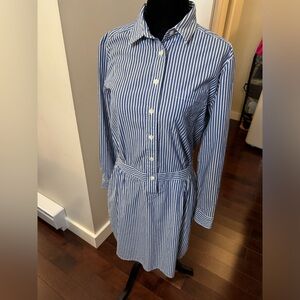 🟢BANANA REPUBLIC dress shirt dress with pockets. 6 petite.🟢